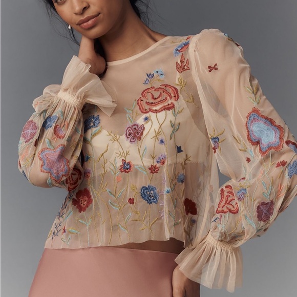 Anthropologie Tops - The Layla Long Sleeve Appliqué Mesh Blouse